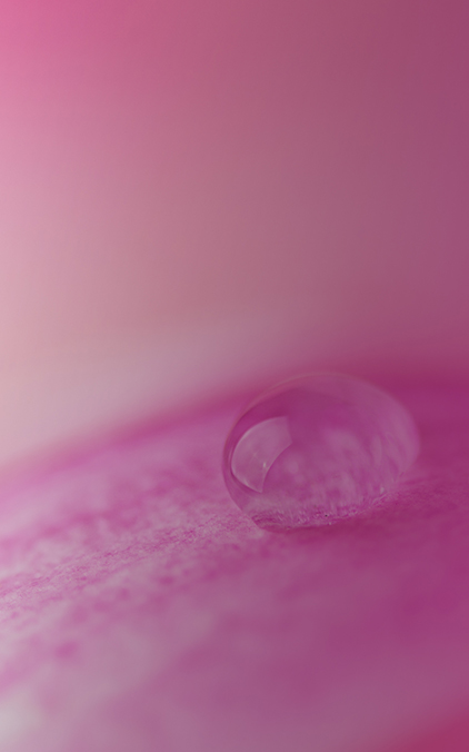 Plicomas são excessos de pele que ocorrem por diversos motivos na região anal. Apesar de não terem potencial maligno, podem causar uma série de desconfortos que limitam a vida da pessoa, tais como dificuldade na higiene local, irritação com o uso de alguns tipos de roupas íntimas ou mesmo constrangimento estético durante a relação sexual. Todos esses são motivos mais que justificados para remover os plicomas. Cada caso precisa ser avaliado para se escolher a maneira adequada de realizar a remoção e minimizar a chance de recidiva. Também é fundamental que se identifique a causa do plicoma, afinal, em algumas situações, a remoção do picoma pode levar a complicações maiores do que o próprio plicoma.